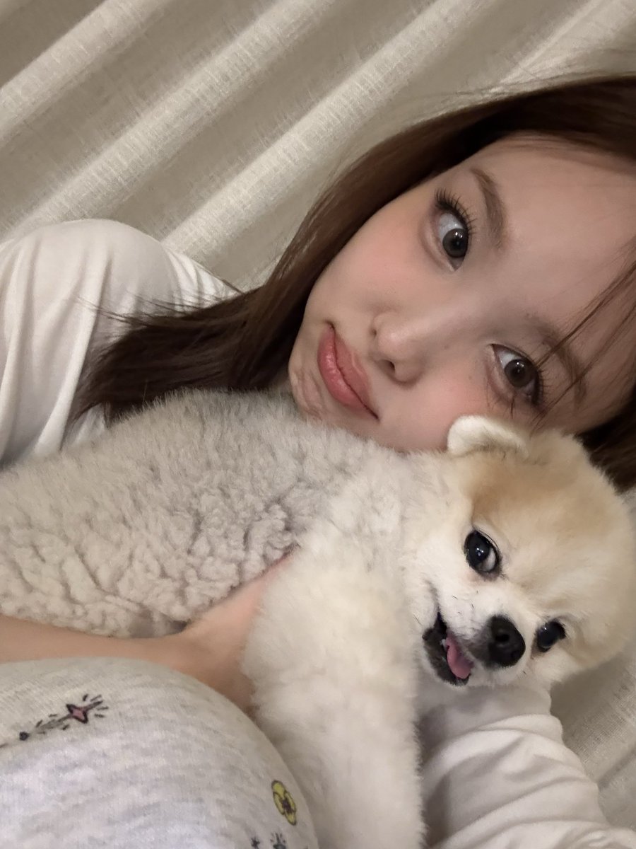 쿠크다스 tweet media