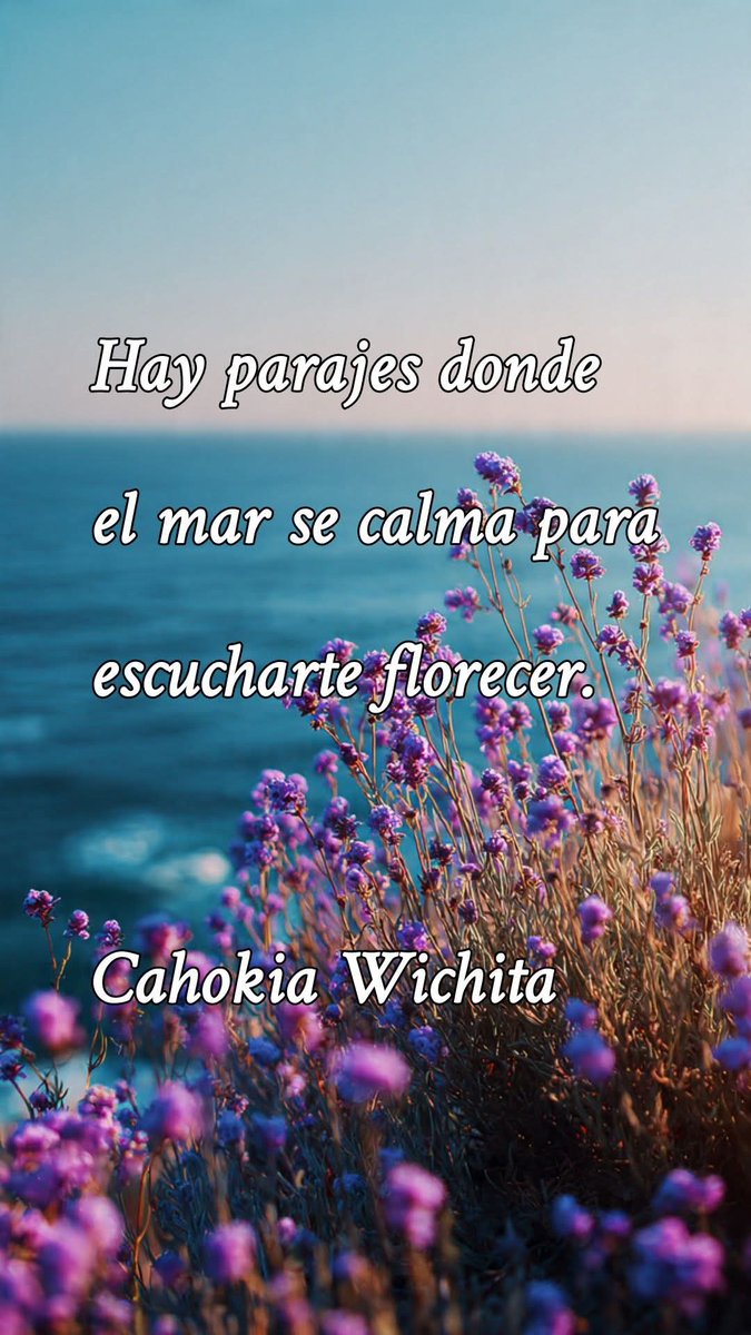 CahokiaWichita's tweet photo. Hay parajes donde el mar se calma para escucharte florecer.

#CahokiaWichita

#PoesíaBreve https://t.co/WPziQGYtyN