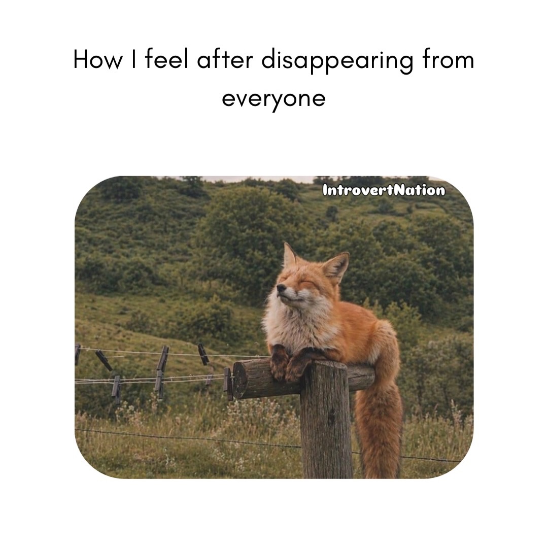 🍁 𝓣𝓱𝓮 𝓕𝓸𝔁 𝓛𝓲𝓯𝓮 🌾🦊 tweet media