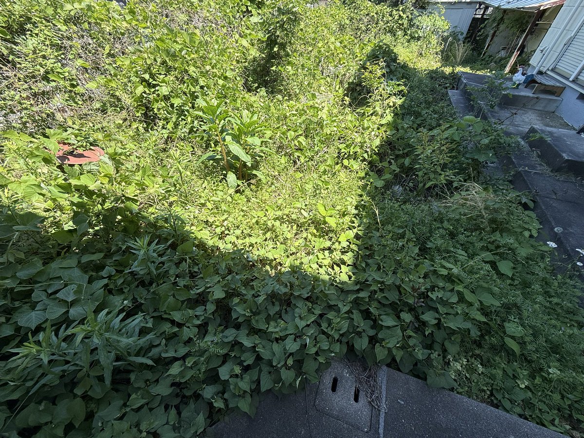 渡辺邦孝 tweet media