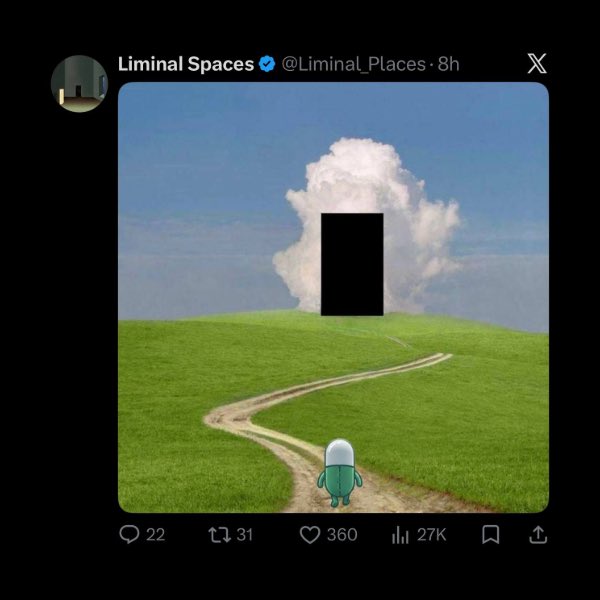 Whale Insider tweet media