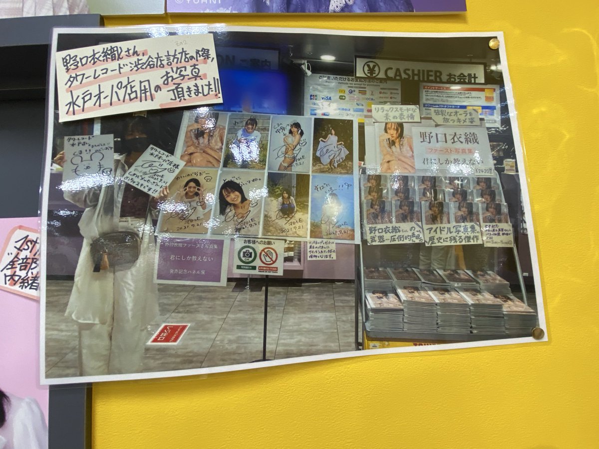 マグロ猫 tweet media