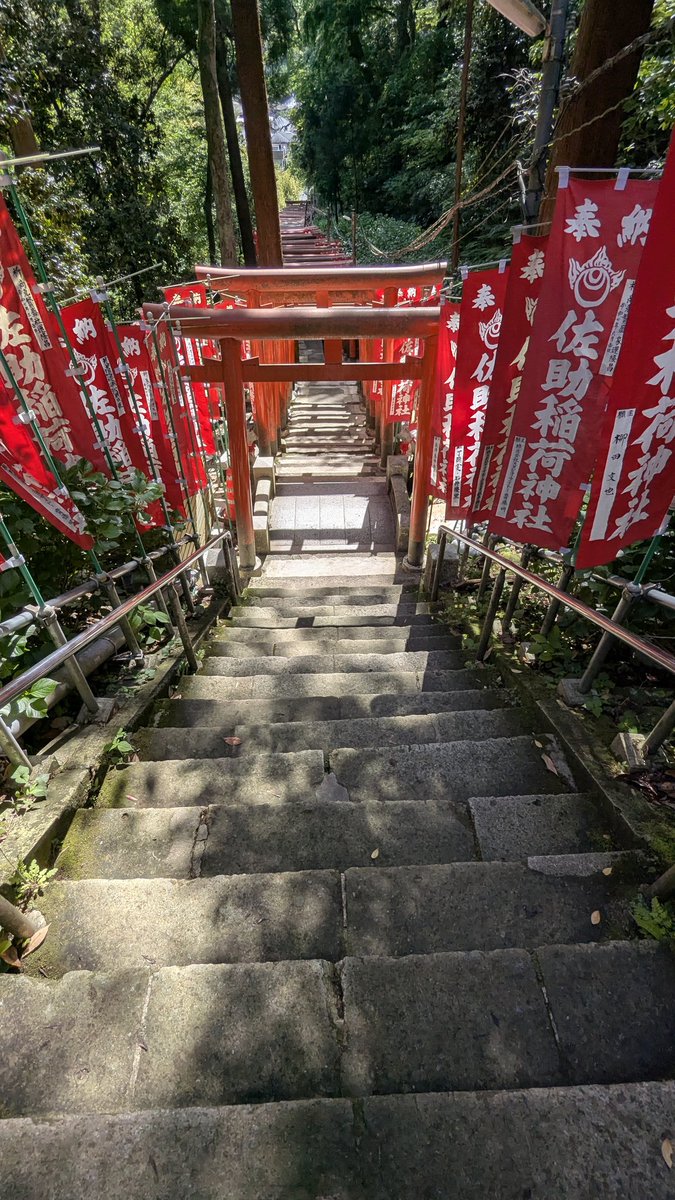 Mika.7%✈️🧑‍🚒💪⛄19930517🍫🧋⛩️⛰️🌊 tweet media