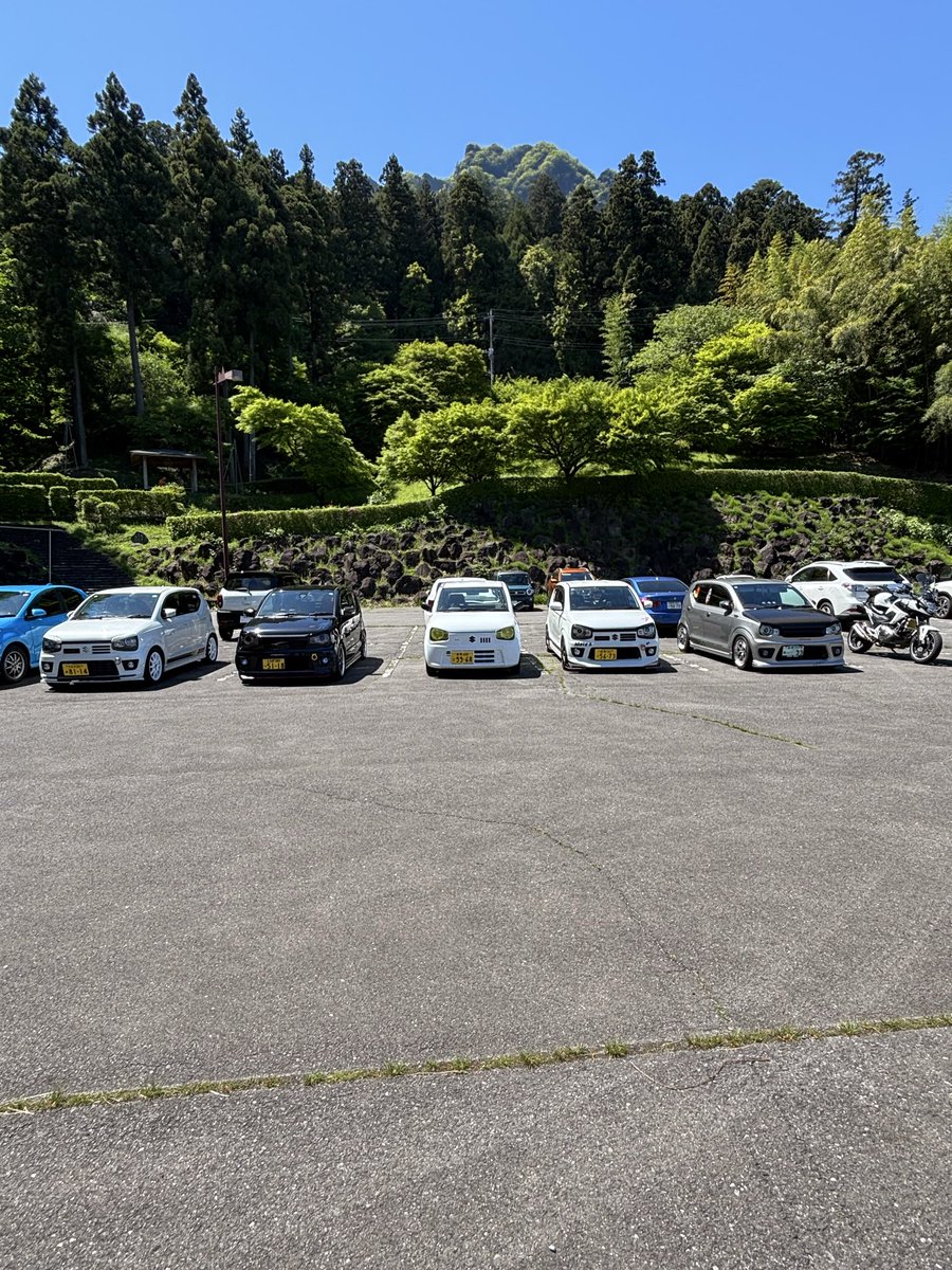 デッシー tweet media