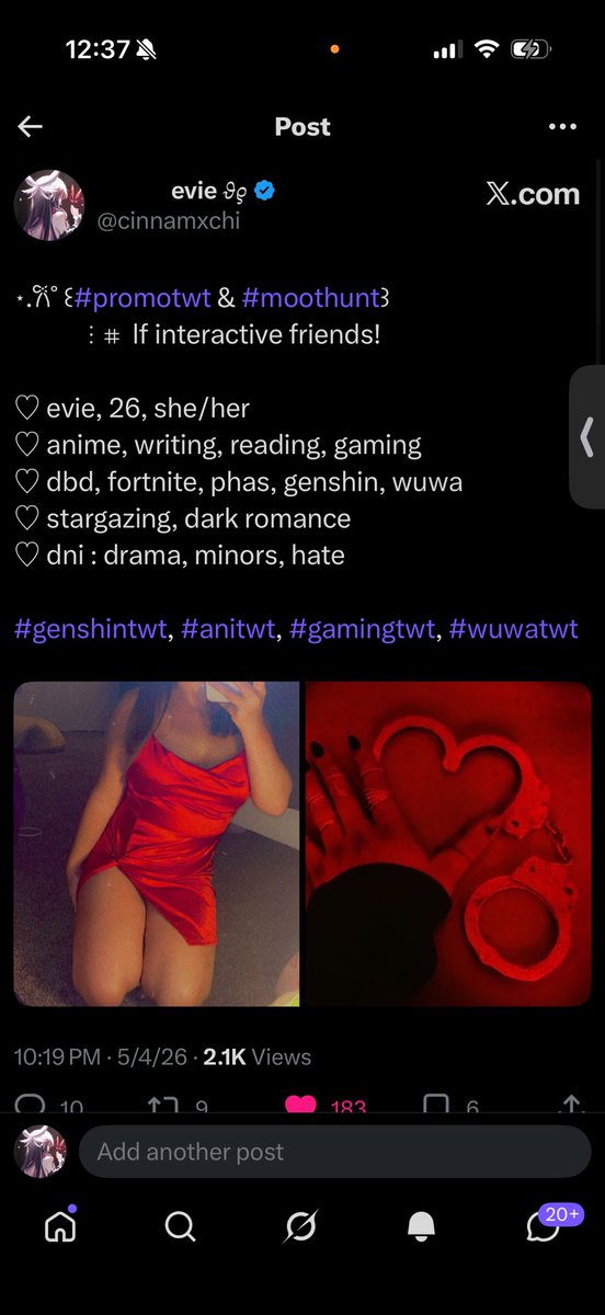 ‍ ‍‍ ‍ evie 𝜗𝜚 tweet media