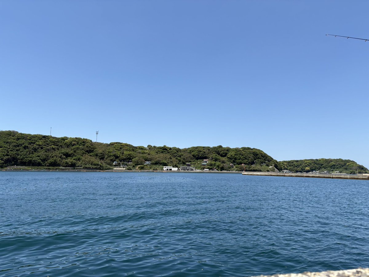 今日はここにいます🐋🫧
何をしているでしょうか❓（謎のクイズw）