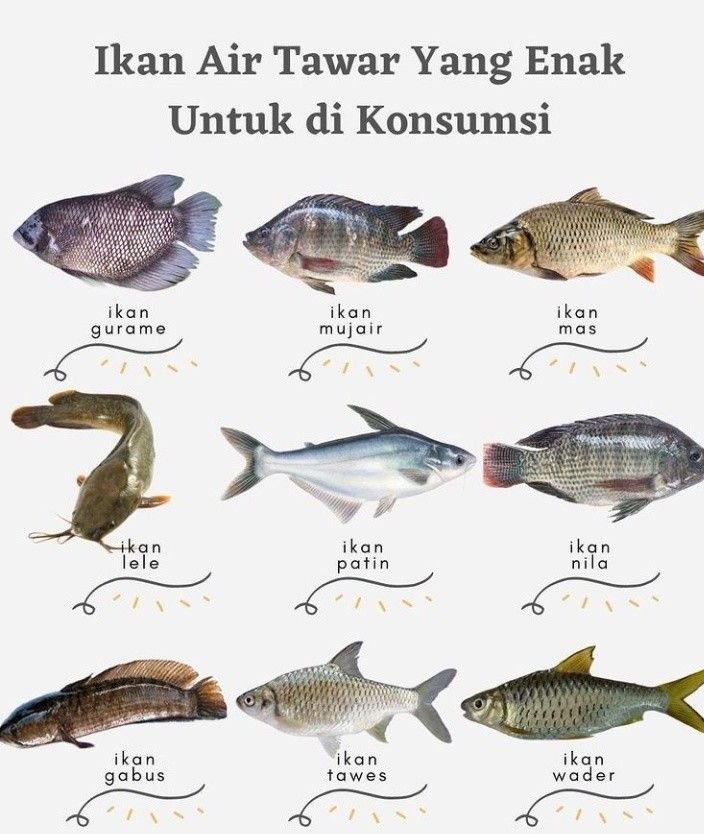 Eat Simple tweet media