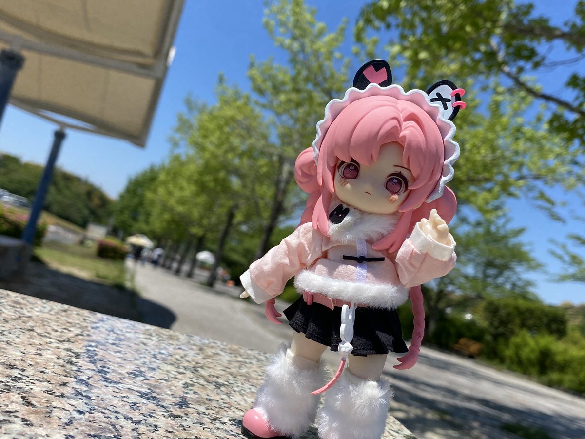中央総合公園と岡崎公園で撮影した写真を何枚か🐰 今日は風が冷んやり
