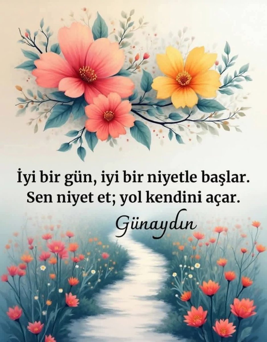 Mehmet Kaya tweet media