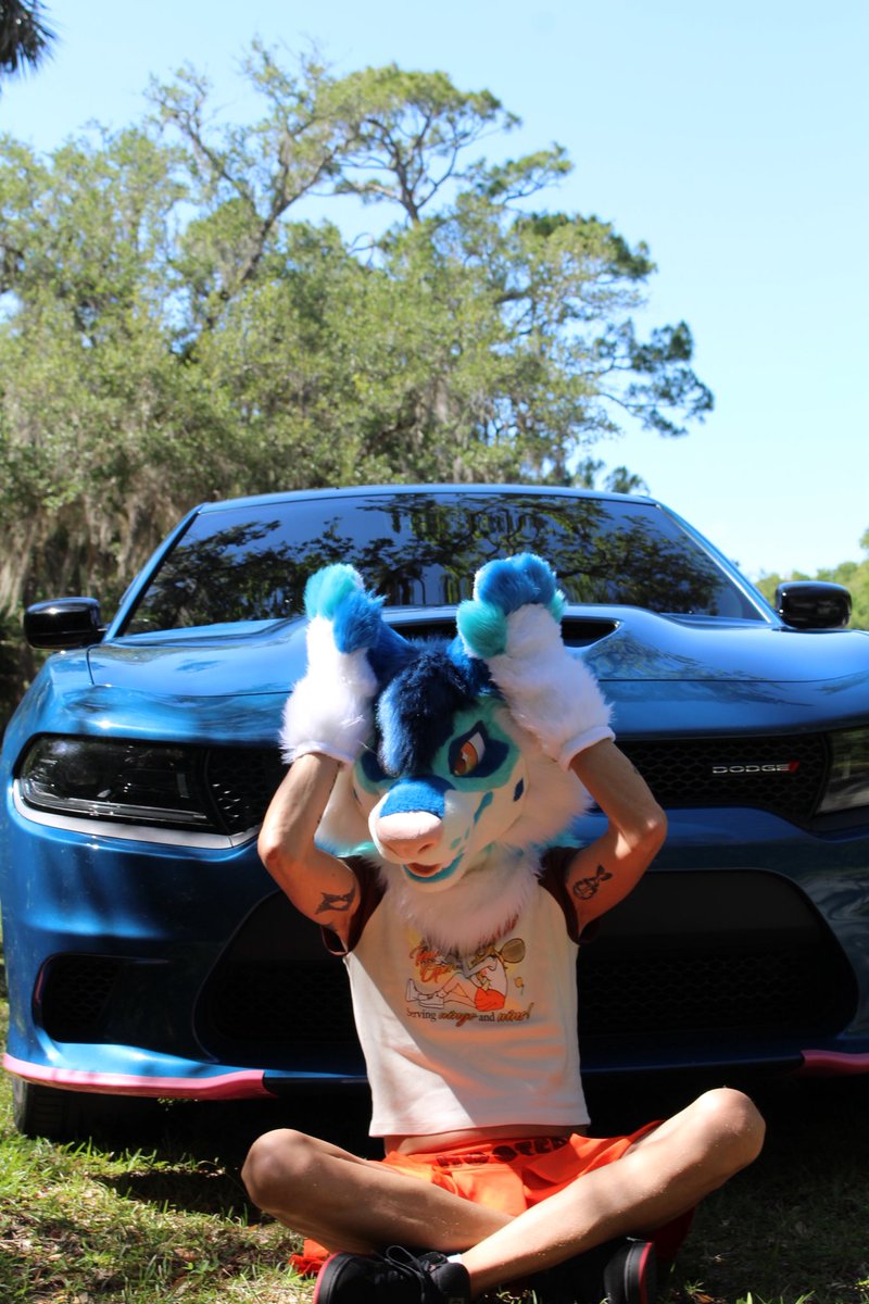 Jaycethepup's tweet photo. Just some more since I can’t pick my fave 
Just a silly wolp 
#furry #furryphotoshoot https://t.co/ArVFPhDeFA