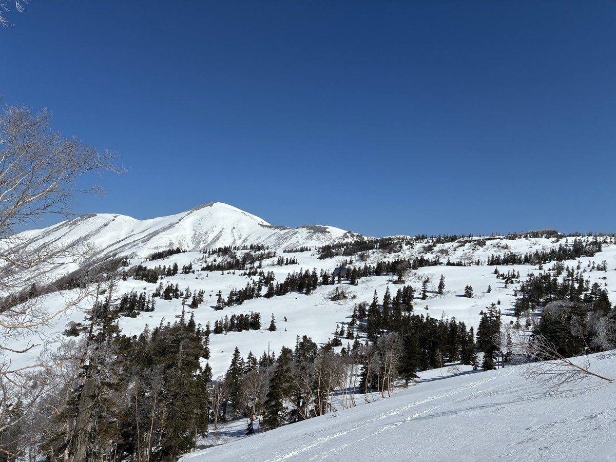 rh08168's tweet photo. 笹ヶ峰から火打山
前日の降雪でチョイパウ？！でした https://t.co/8xV7fANt8v