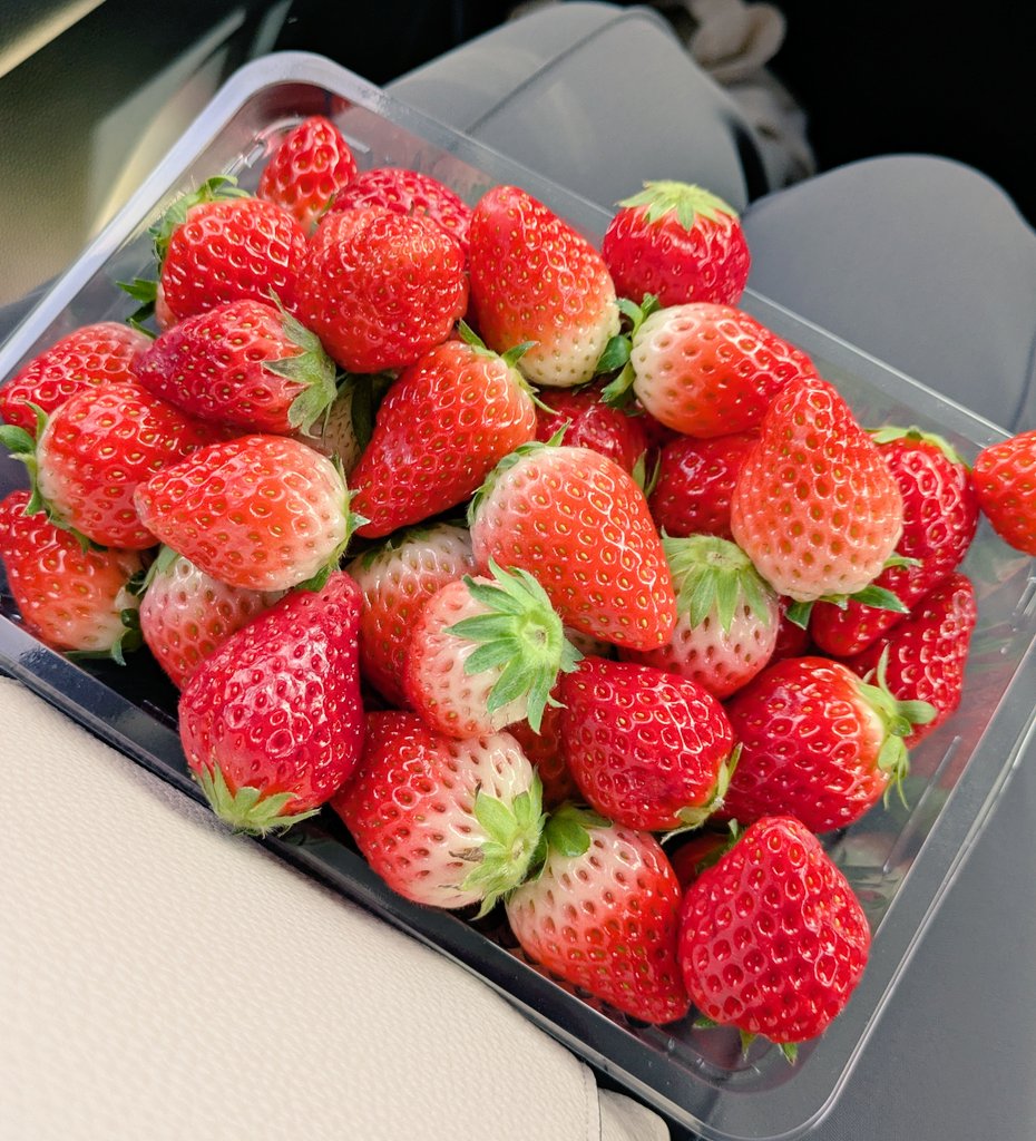 これは無人販売機の山盛り🍓
いい匂いがする…😌