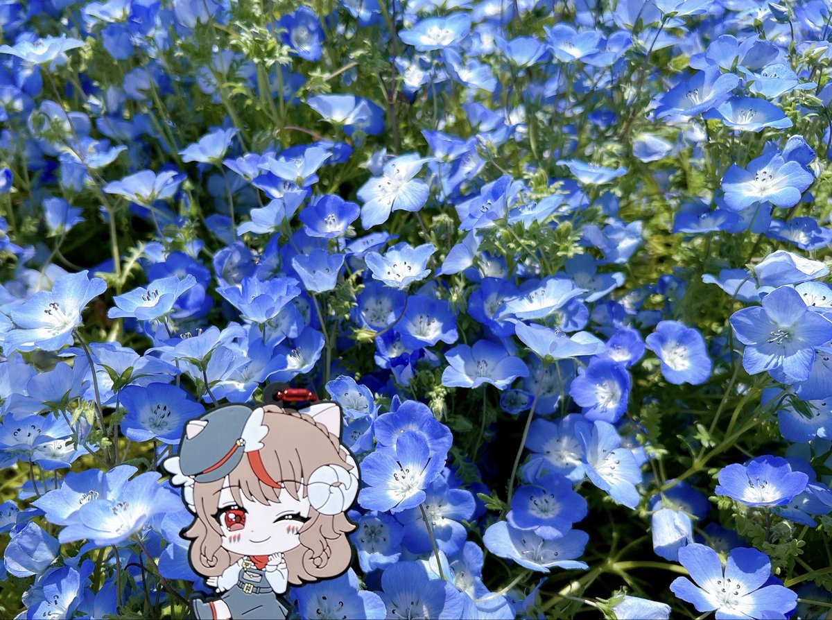 もめん🐏🍜 tweet media