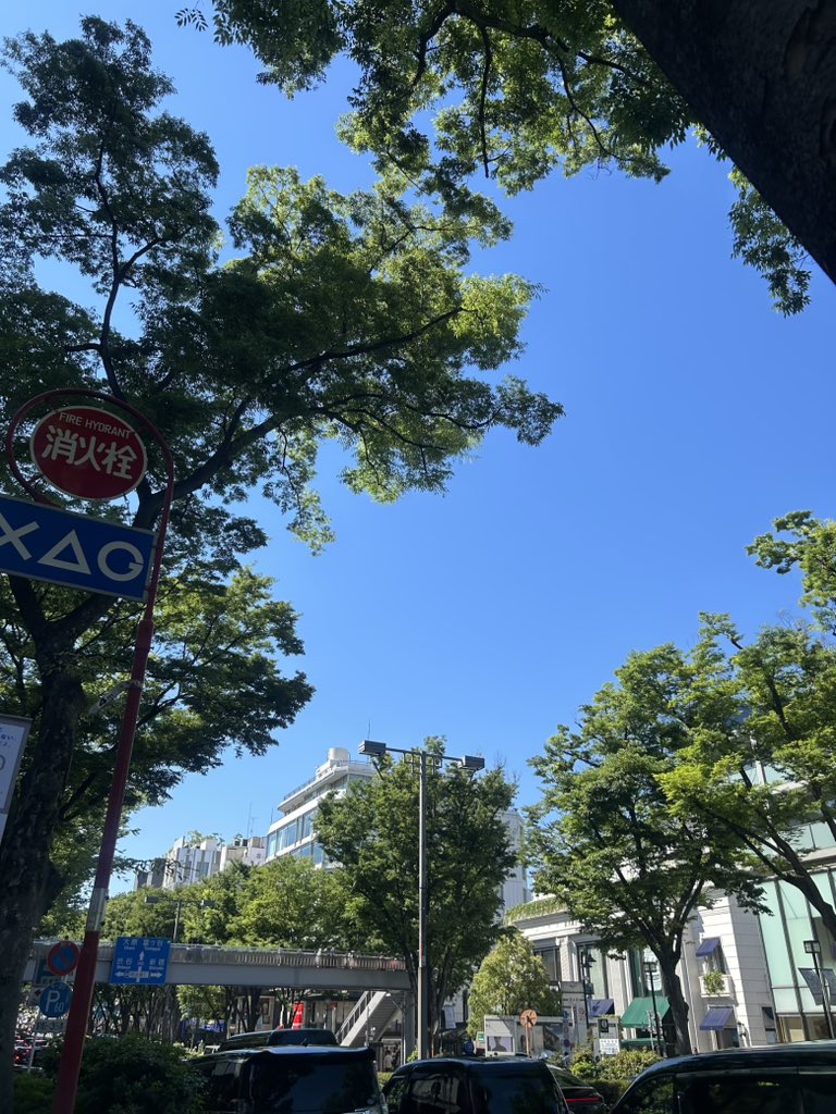 こうのすけ tweet media