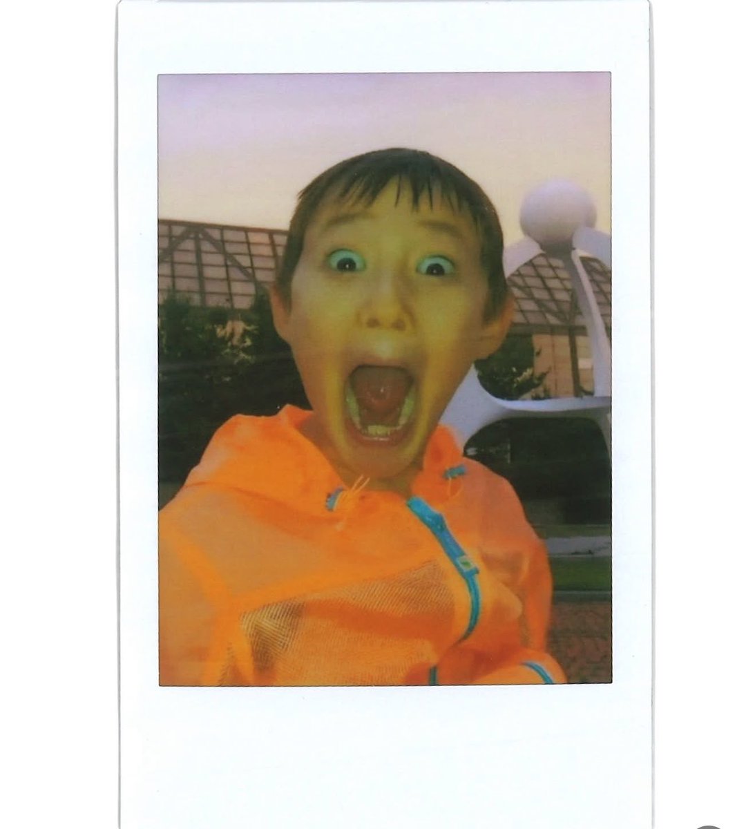 뽀효이 tweet media