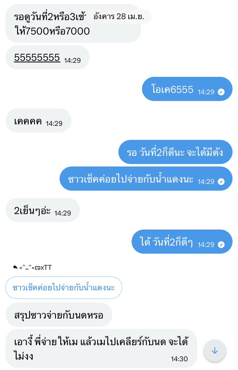 ⌯ᵔ⩊ᵔ⌯ಣxTT tweet media
