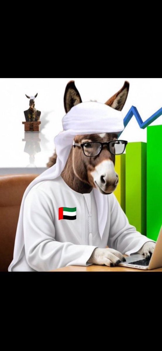 بودالهلالي 🦈BOD🦈 tweet media