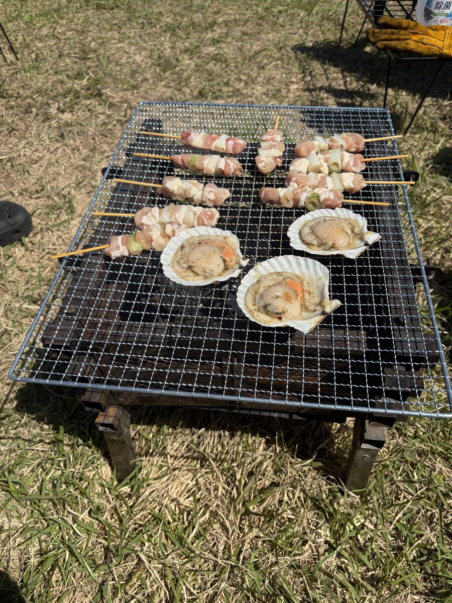 金魚（浄化済） tweet media