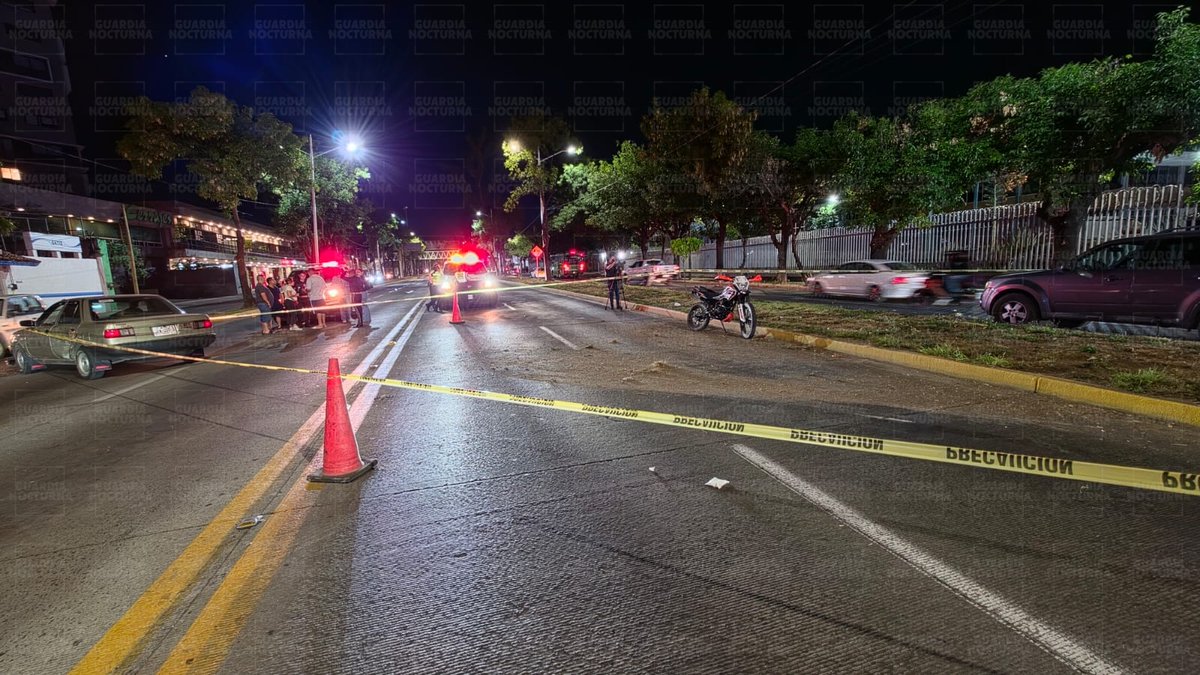 Guardia Nocturna tweet media