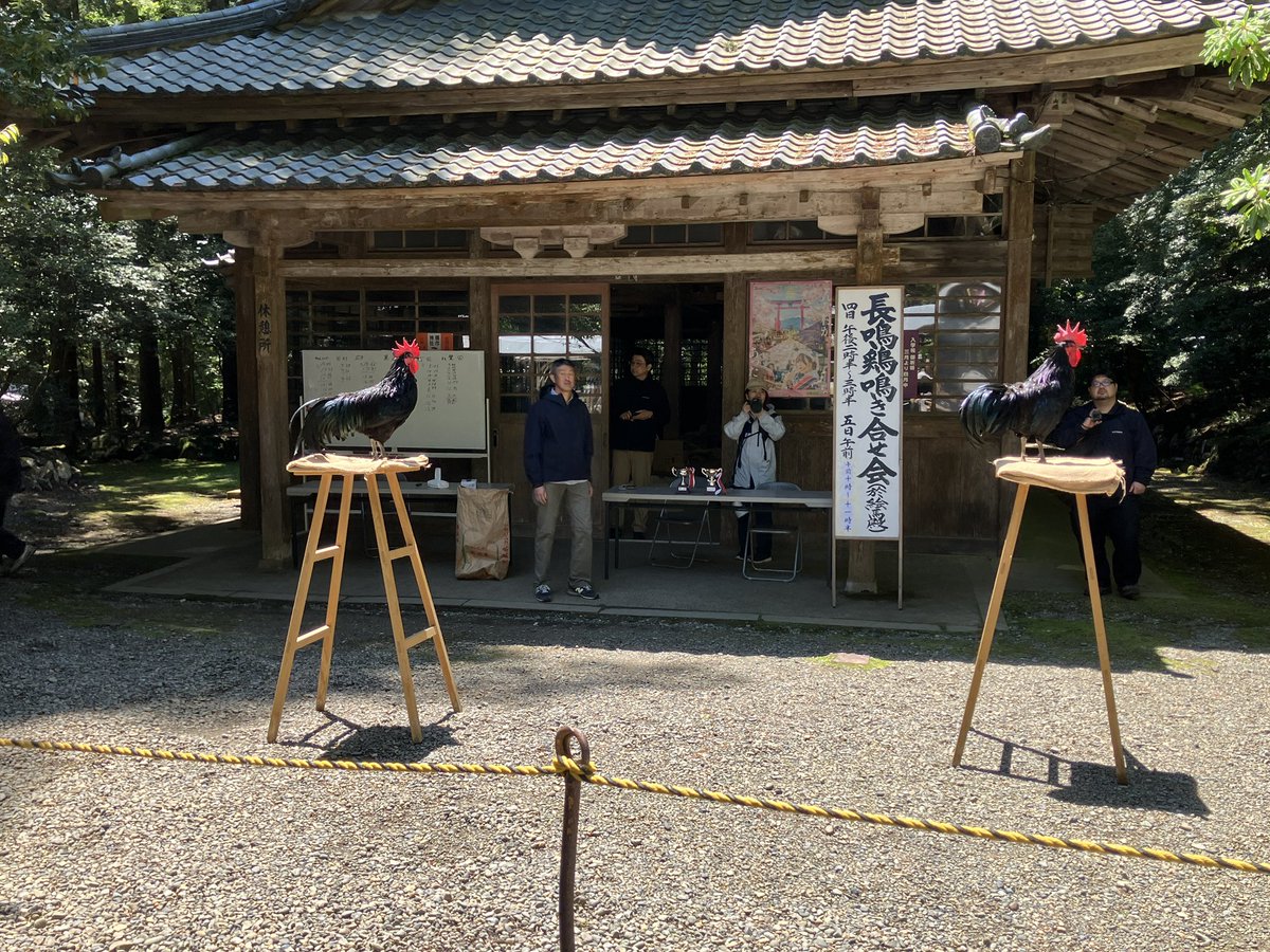 さちよん tweet media