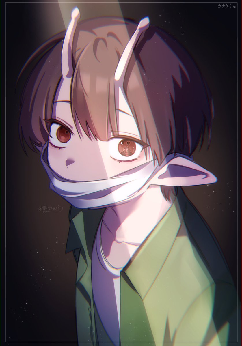 マイニャ tweet media