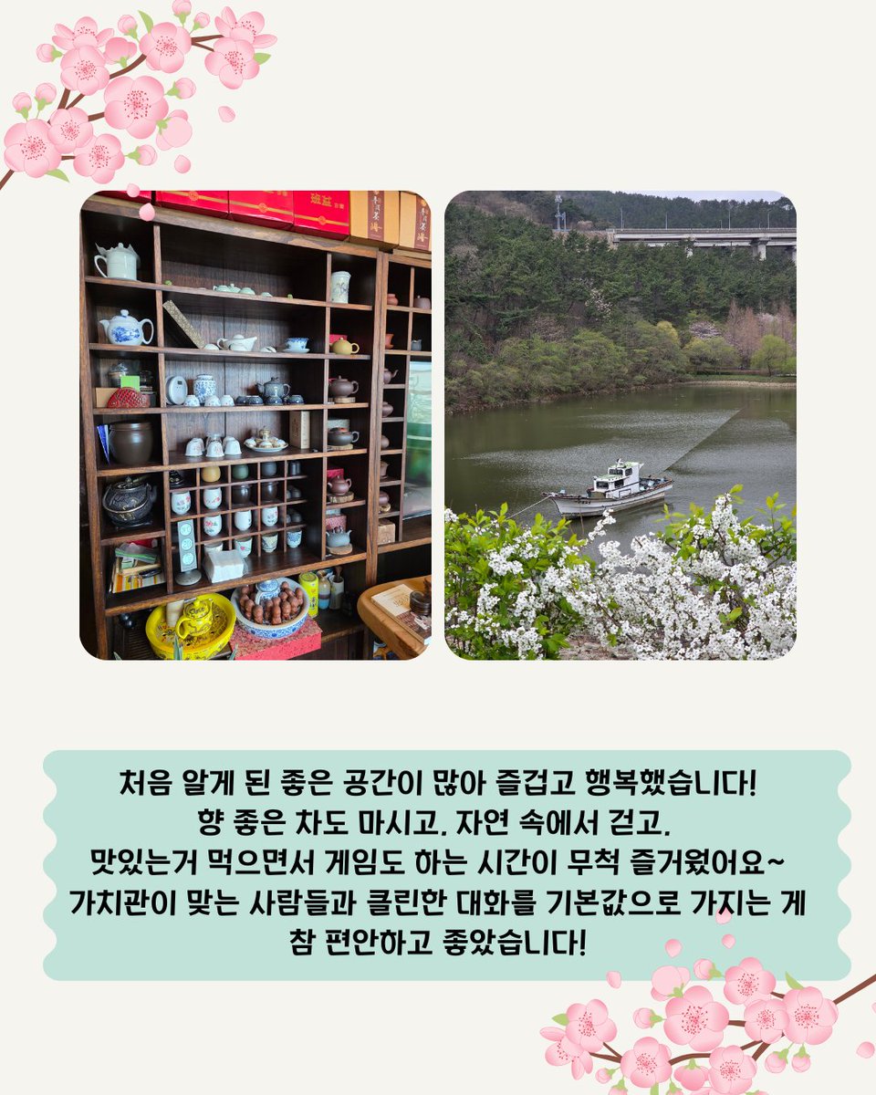 비영리단체 비혼여성공동체 WITH tweet media