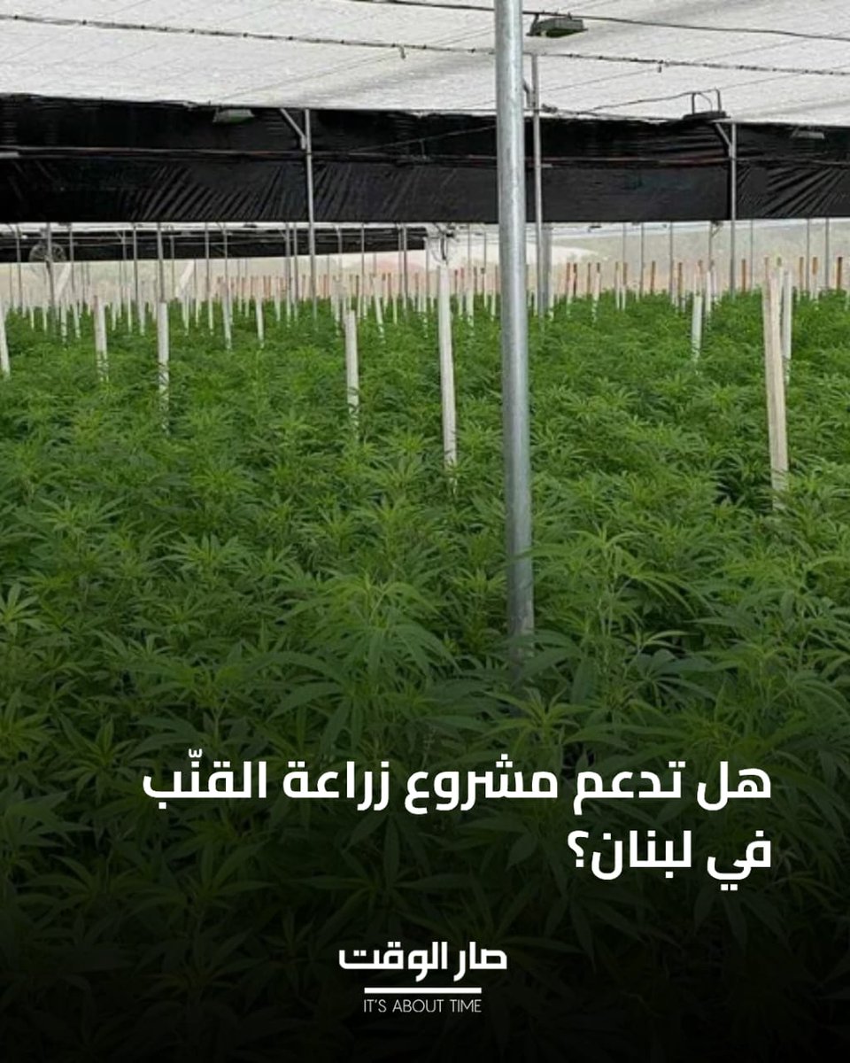 صار الوقت tweet media