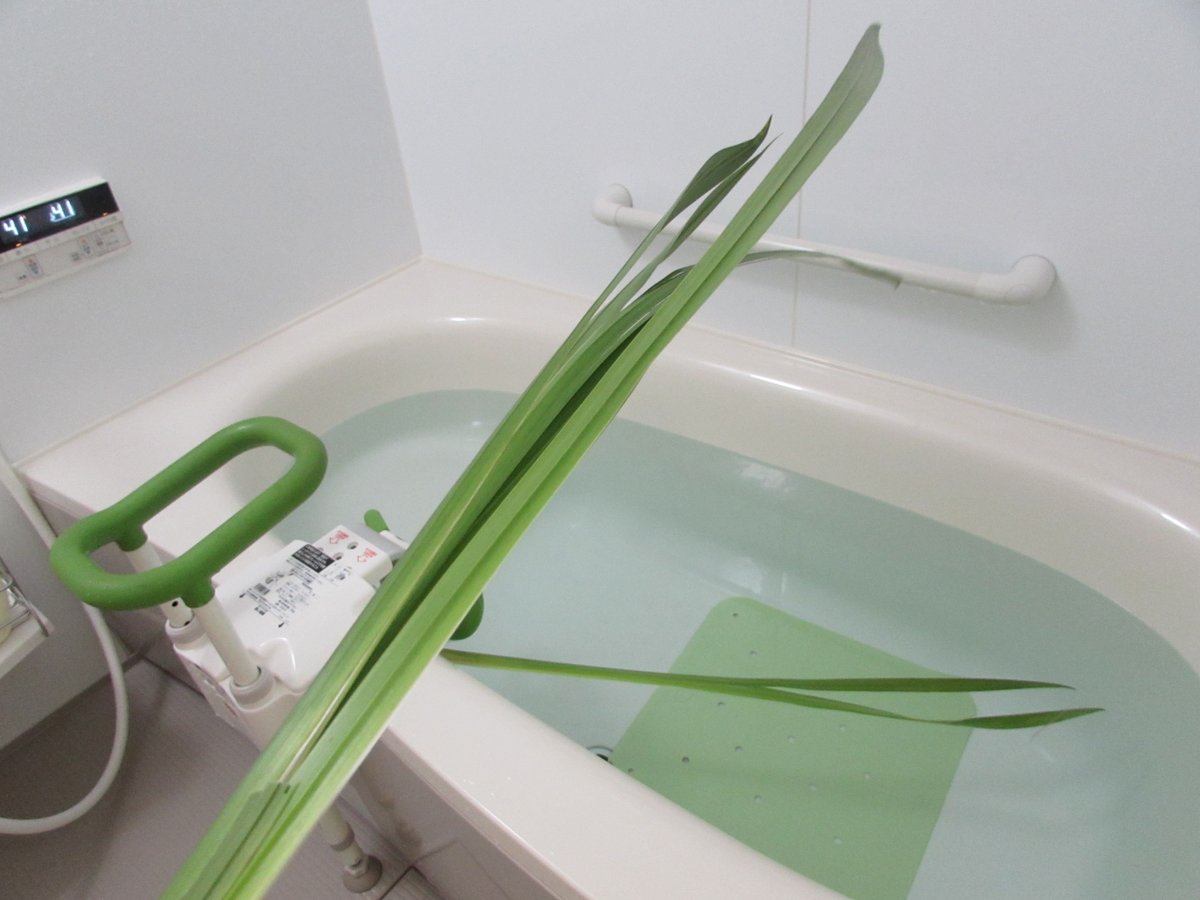 tyoujunoie's tweet photo. 今日は「子どもの日（端午の節句）」なので、しょうぶ湯（菖蒲湯）です。

しょうぶ湯は５月５日にショウブの葉や根を湯船に浮かべて入る、古くからの日本の風習です。強い香りで邪気を払い、無病息災や子供の健康・成長を願うものです。 https://t.co/UDhlNs0Xv5
