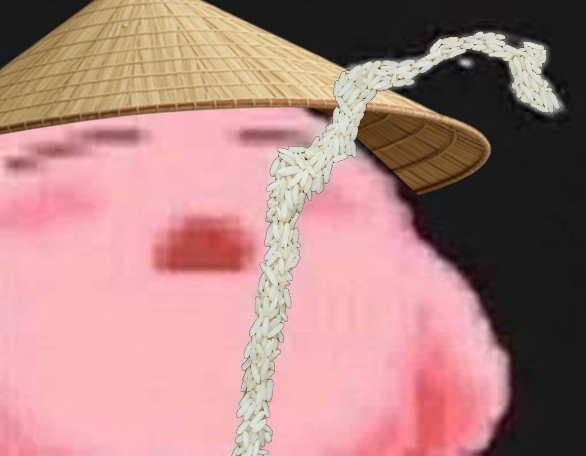 One grain of rice tweet media