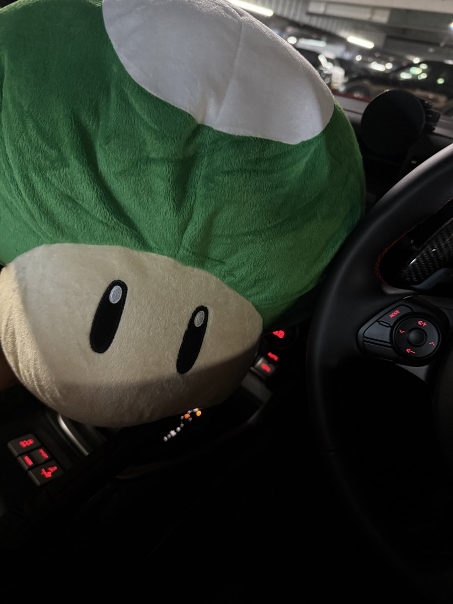 デカキノコげっと！