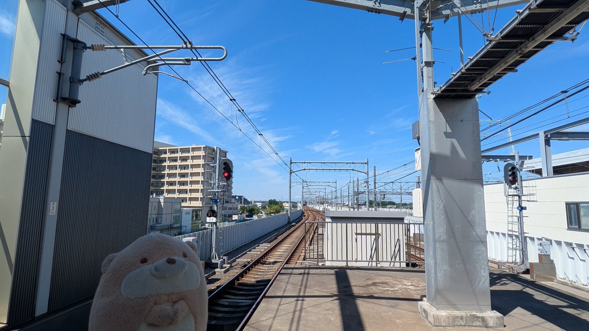しんかわ🥷 tweet media