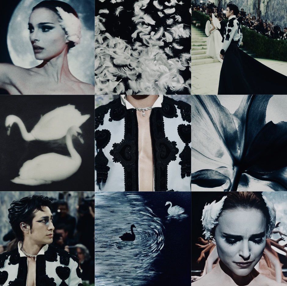lehollanovs's tweet photo. Hudson x Black Swan https://t.co/vWq0DH4oQZ