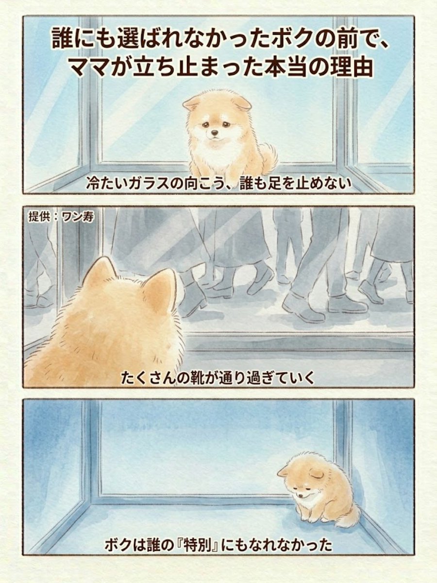lifefire_zndmn's tweet photo. 素敵な飼い主に出会えてよかった😭 https://t.co/QBm0h3FZ5J