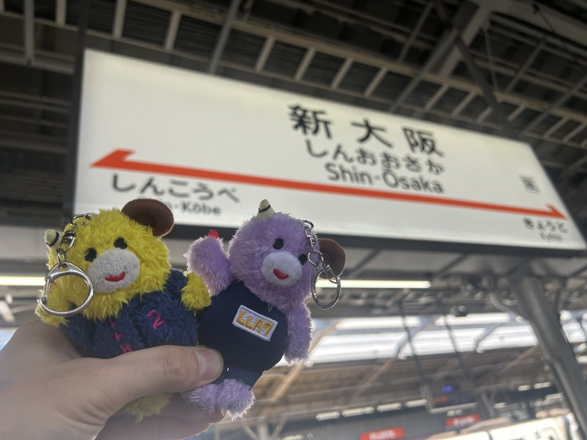 とぅいー🥔 tweet media