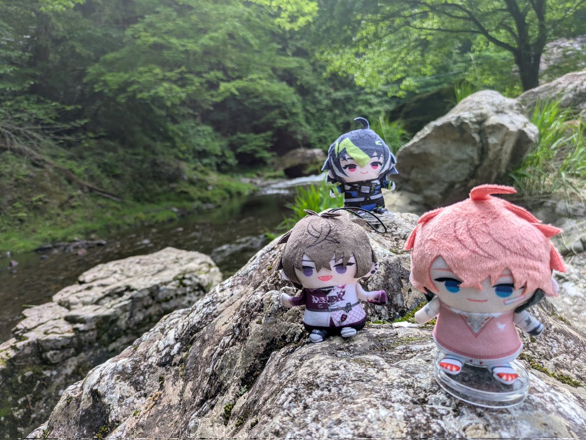 🐮まこち🦇 tweet media