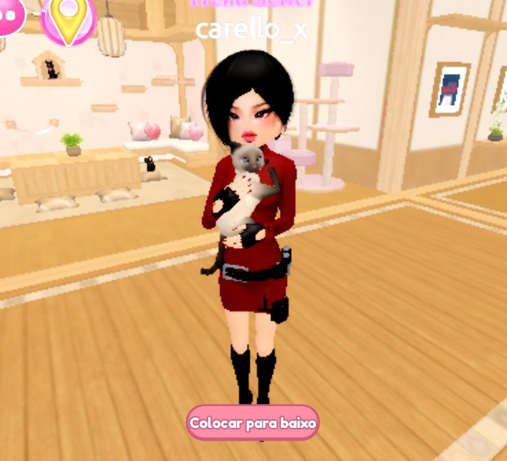 eu e os meus gatos no dti
