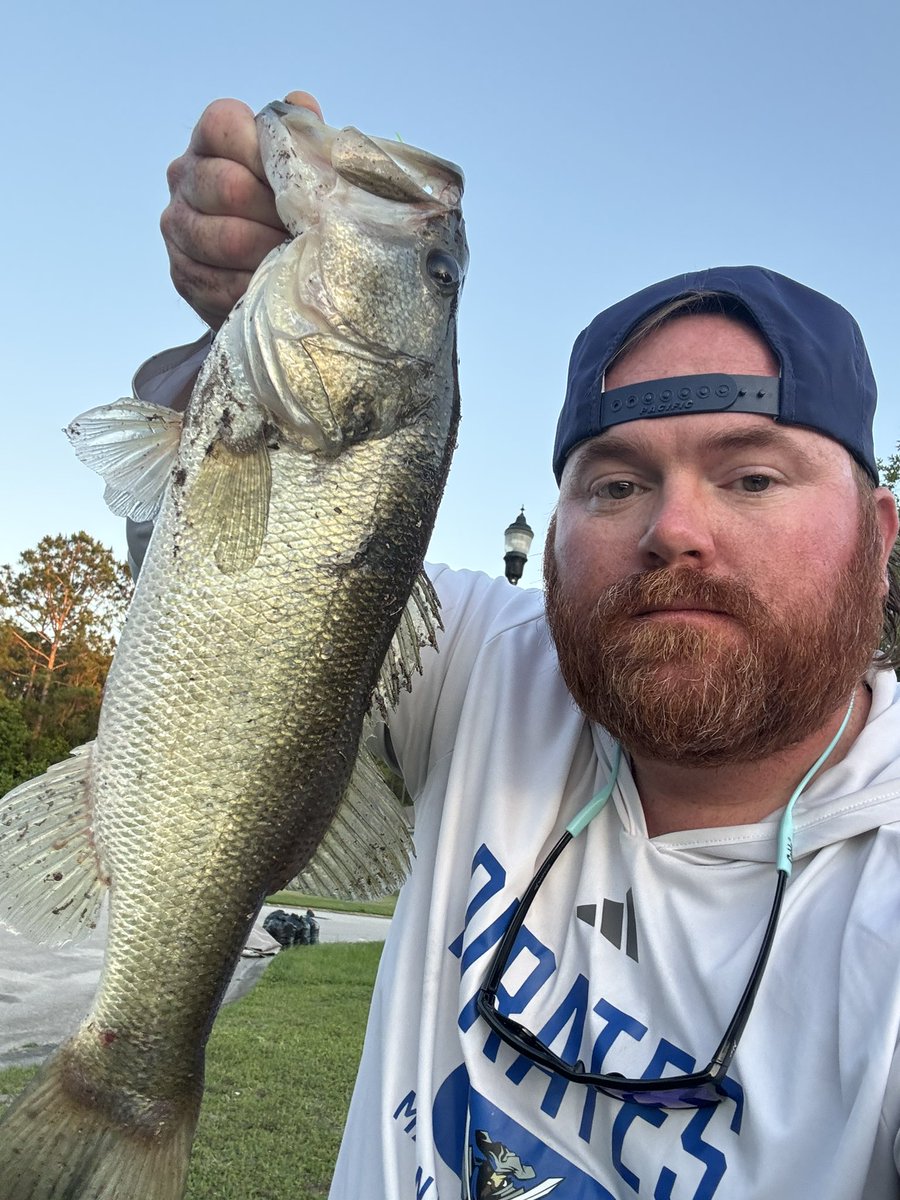 Matt Forrest tweet media