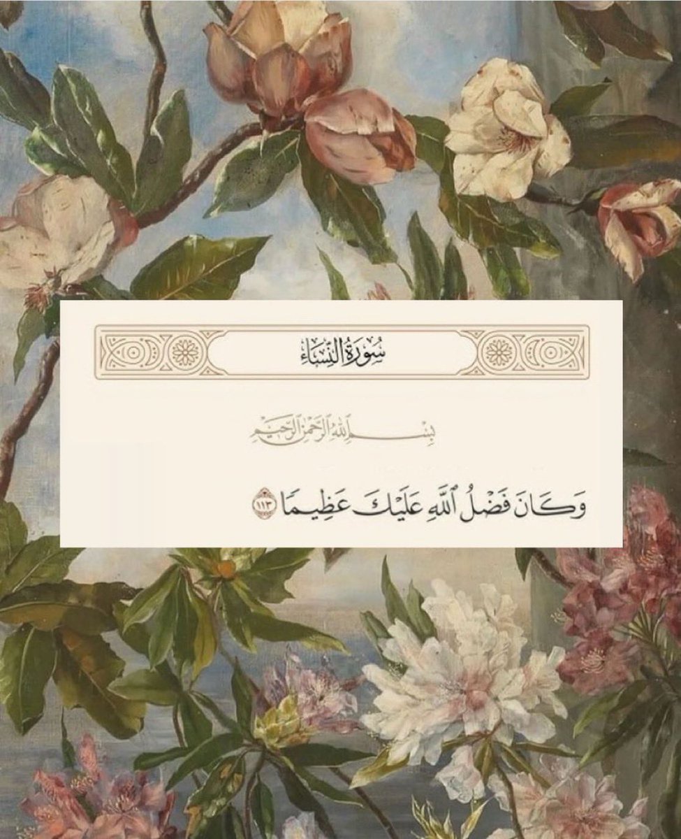 زينب محمد🇮🇶 tweet media