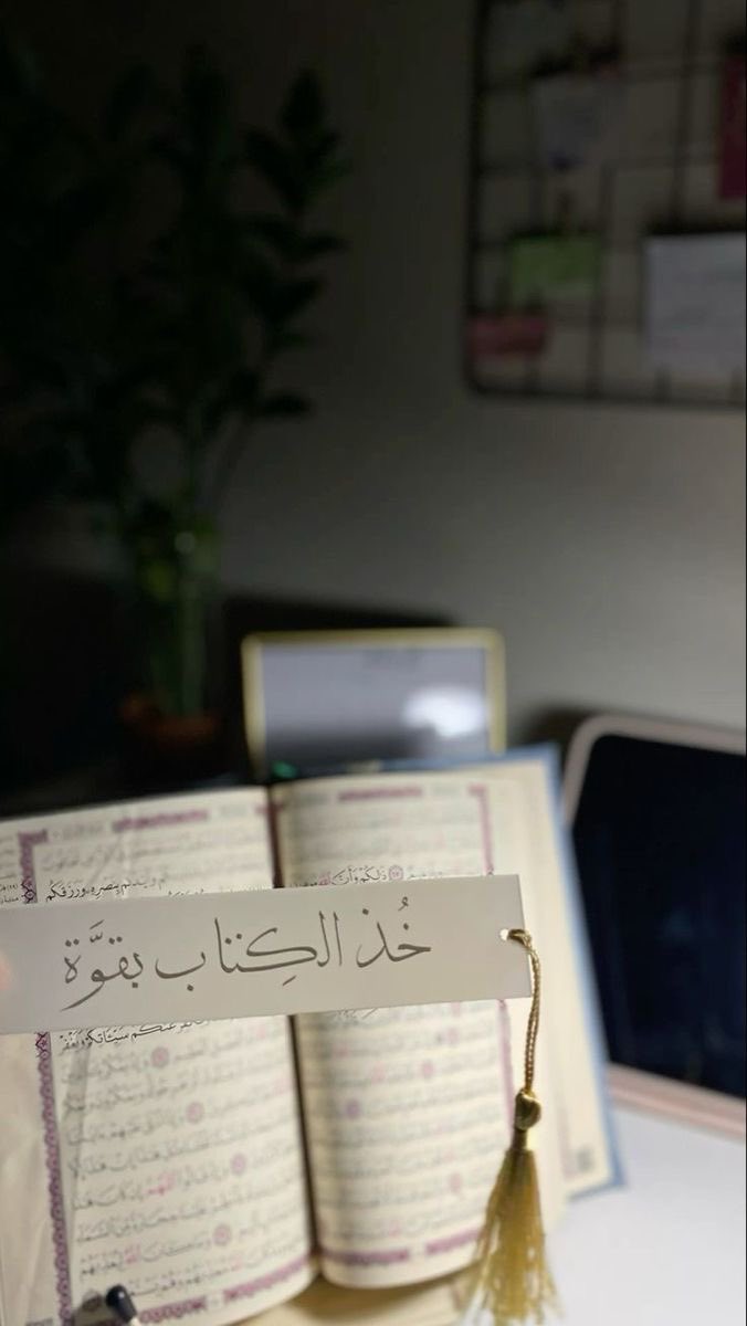 semo_1434's tweet photo. قال ابن الجوزي -رحمه الله-:

ما رأيتُ شيئًا أذهبَ للهمِّ مثل تلاوة القرآن بتدبّر فإن القلب يحيا به حياةً لا تُشبهها حياة أُخرى. https://t.co/mosLn6vHBk