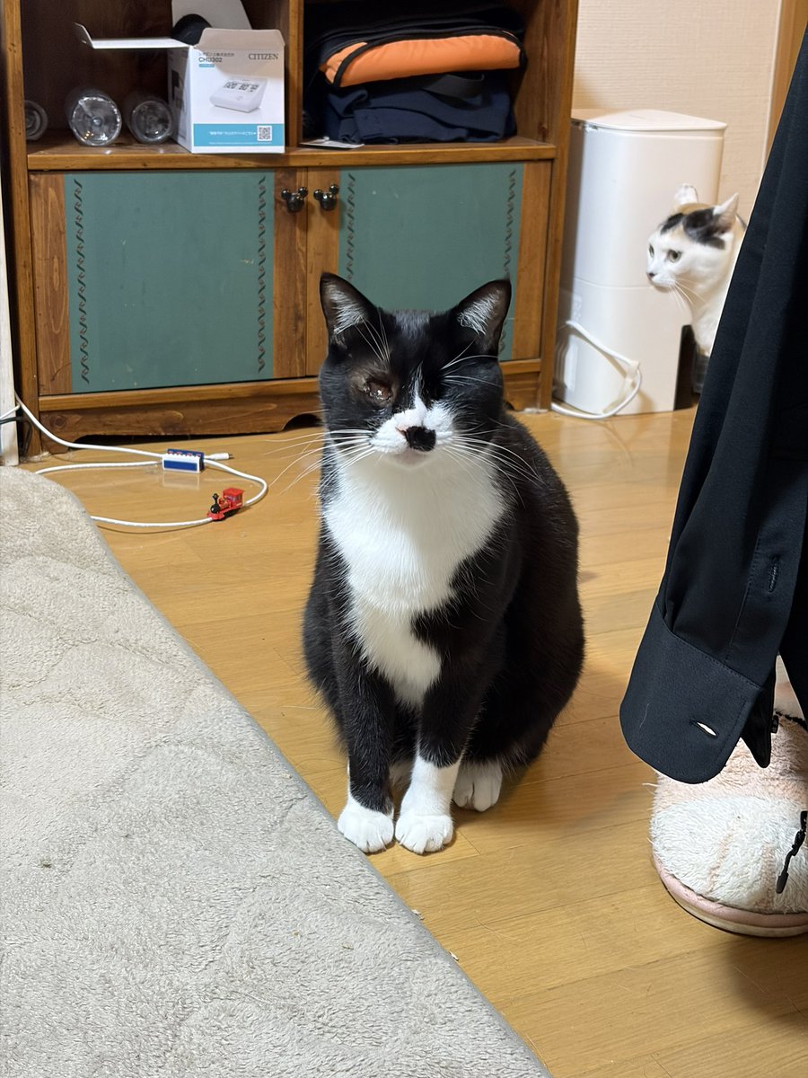 ピノワルド工房 tweet media