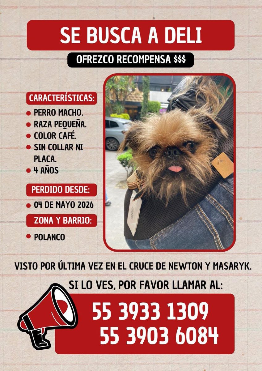 Gaby_Maya tweet media