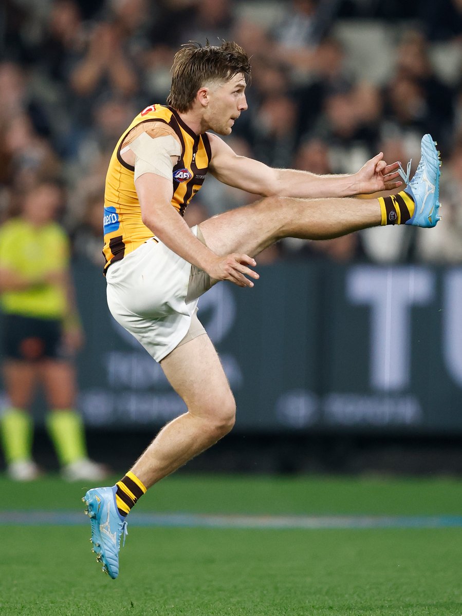 Hawthorn FC tweet media