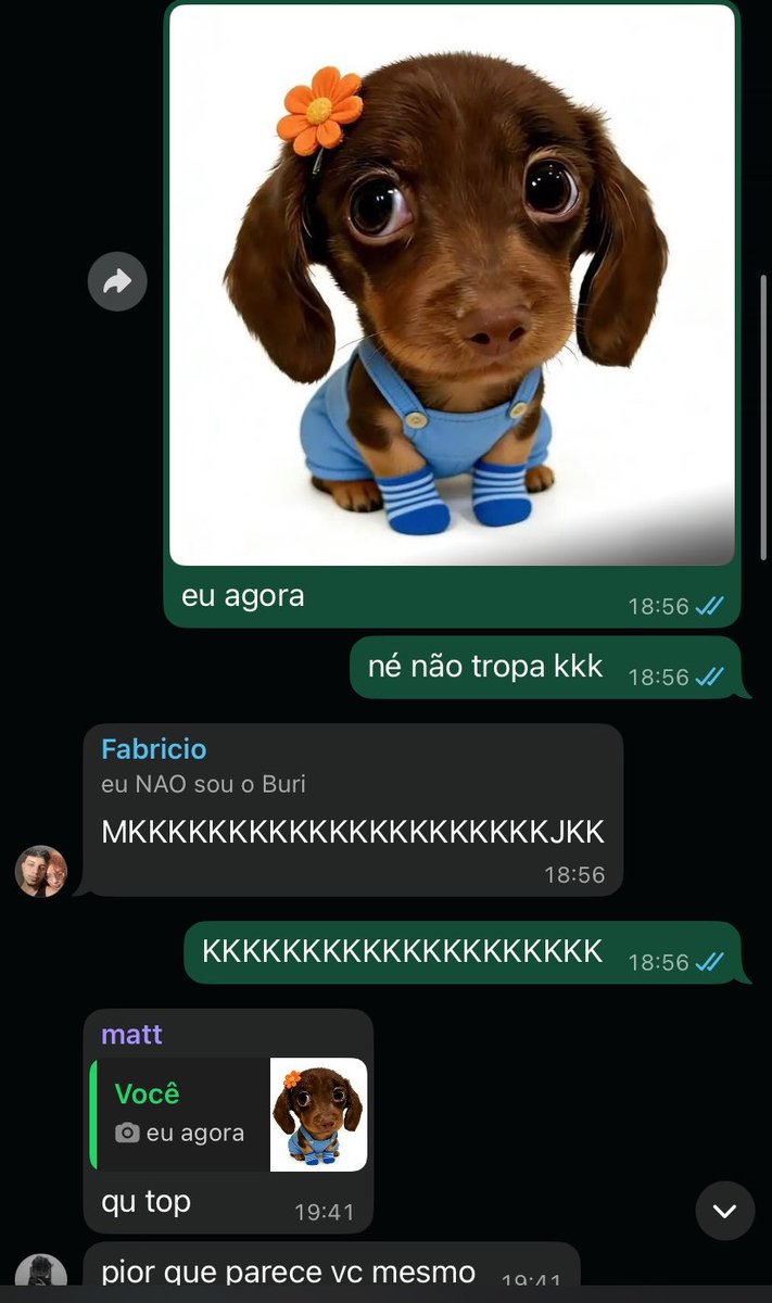 joão tweet media
