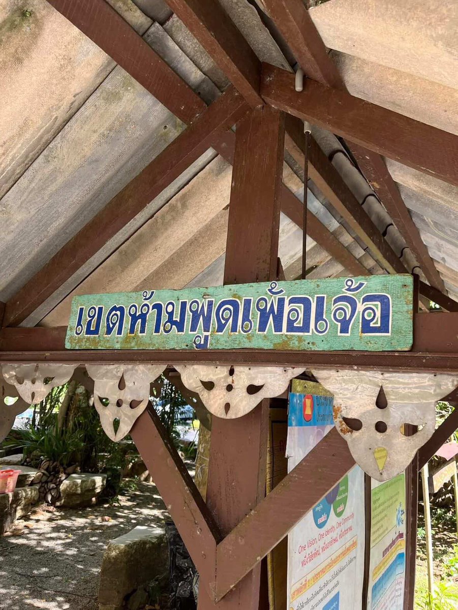 หมีไข่ 🐻 tweet media