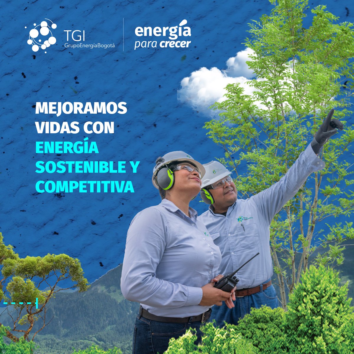 Transportadora de Gas Internacional tweet media