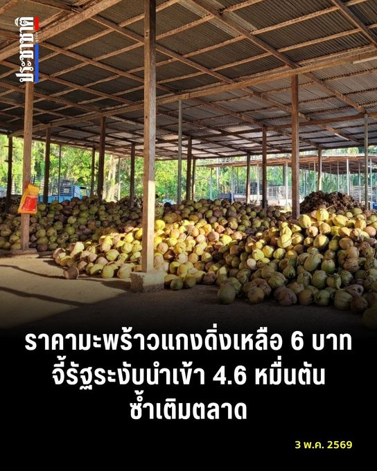 เรียกผมว่าเน่า2 tweet media
