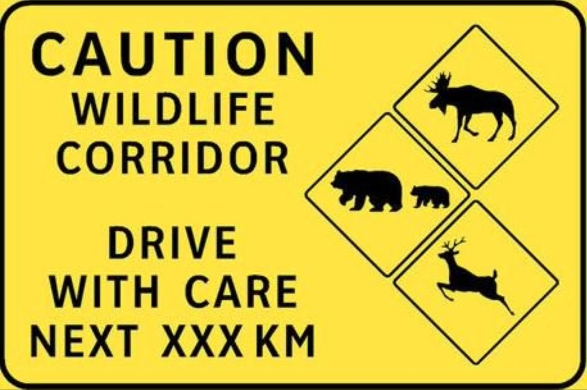 DriveBC tweet media