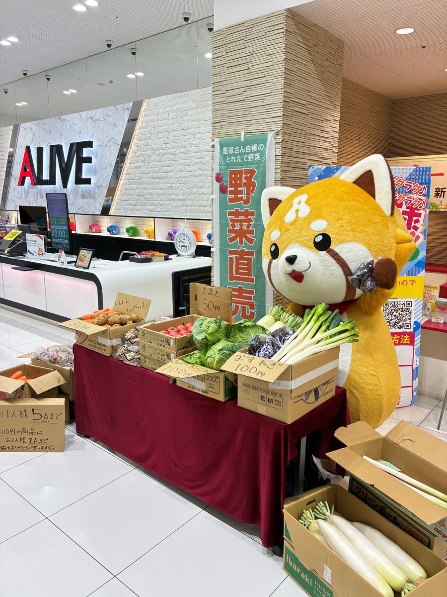 5⃣月5⃣日(火)朝🔟時オープン🌈🌈 🔶🔸ALIVE全店合同お取り寄せ賞品