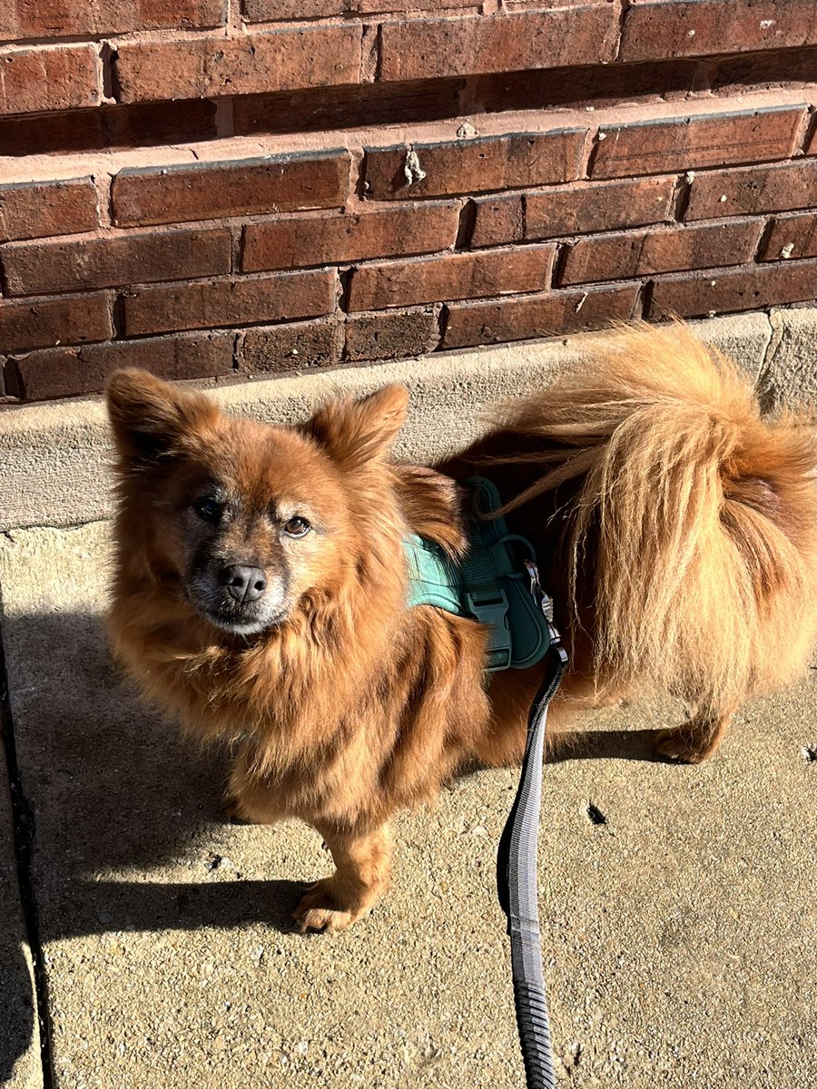 kat | dr odyssey tweet media