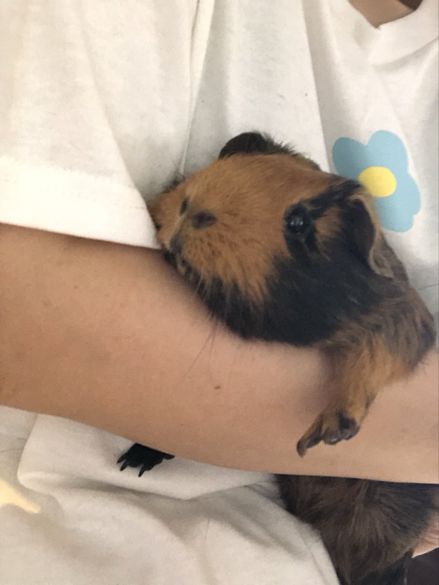 𝕞𝕚𝕪𝕦𝕜𝕚 tweet media
